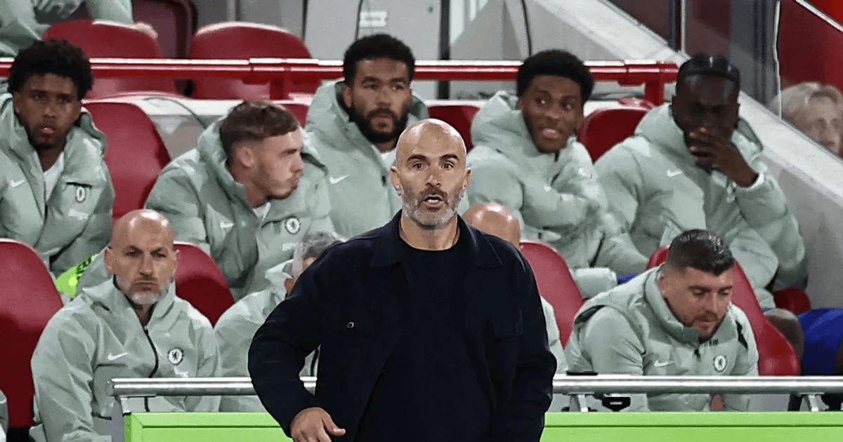 没有, 总的来说 没有, 总的来说