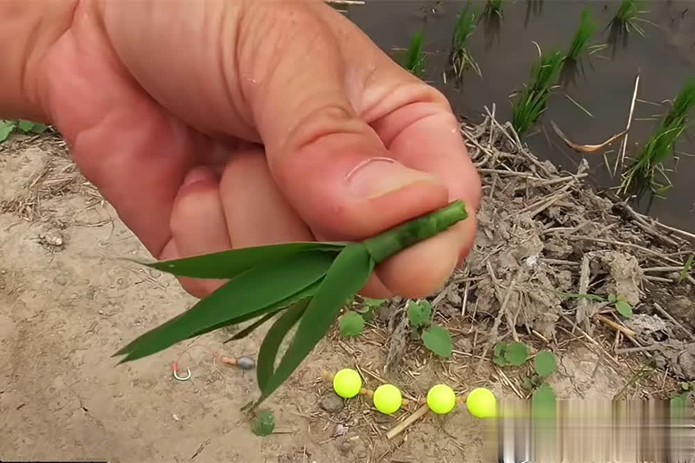 朝天钩是一 朝天钩是一