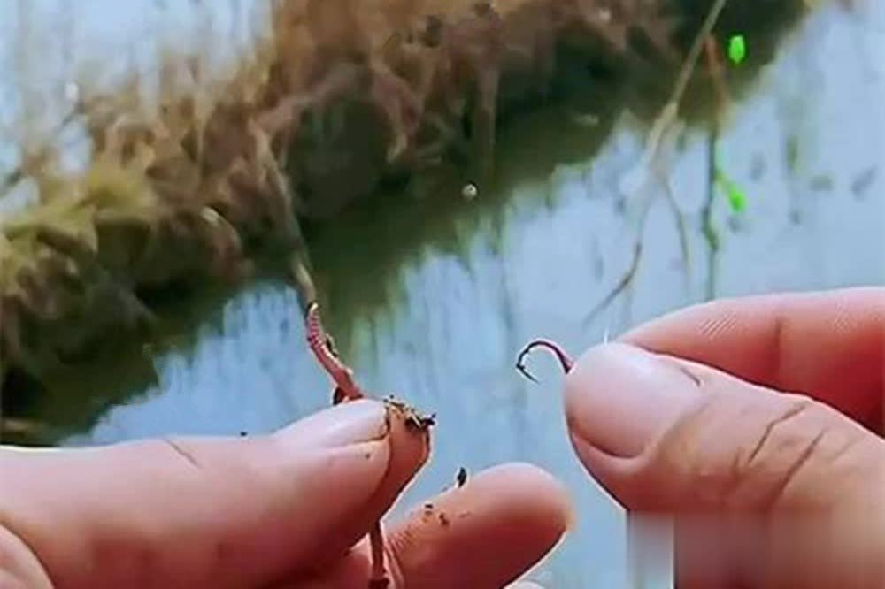 出门钓鱼也 出门钓鱼也