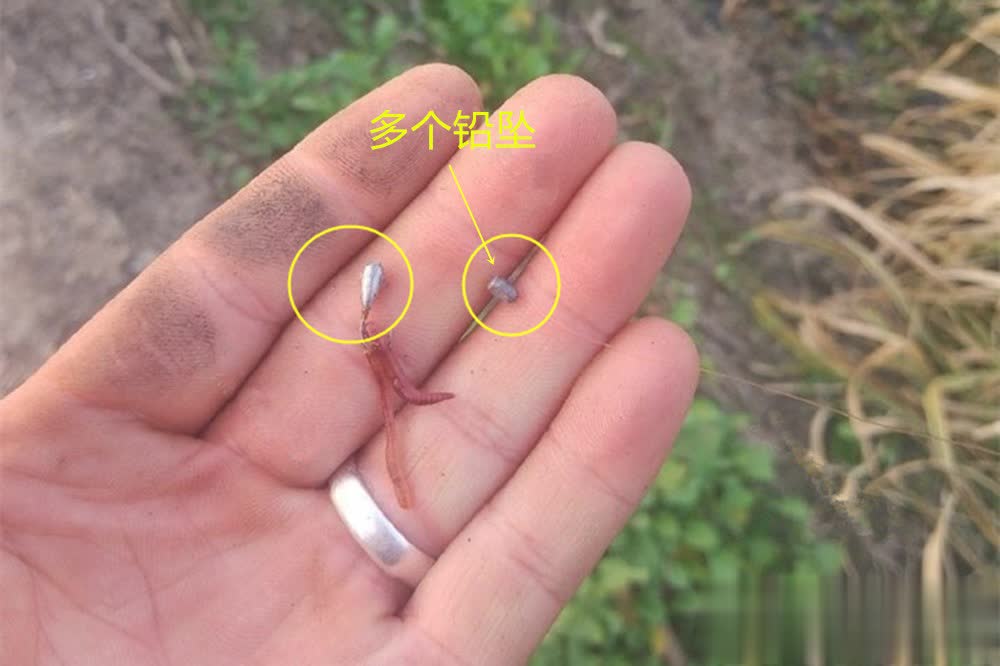 amp, span, tenan amp, span, tenan